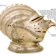 Illustration for article titled The Weirdest and Fiercest Helmets from the Age of Armored Combat